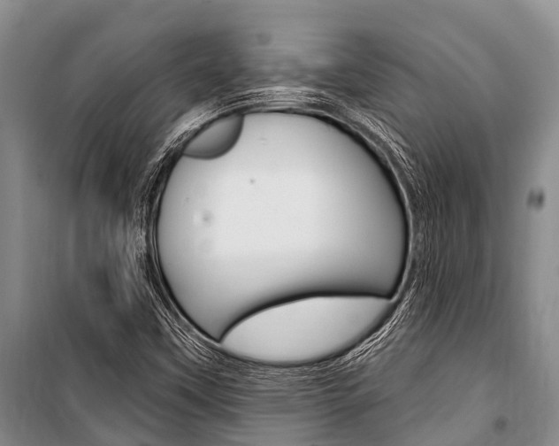 X0000101211451200806270842