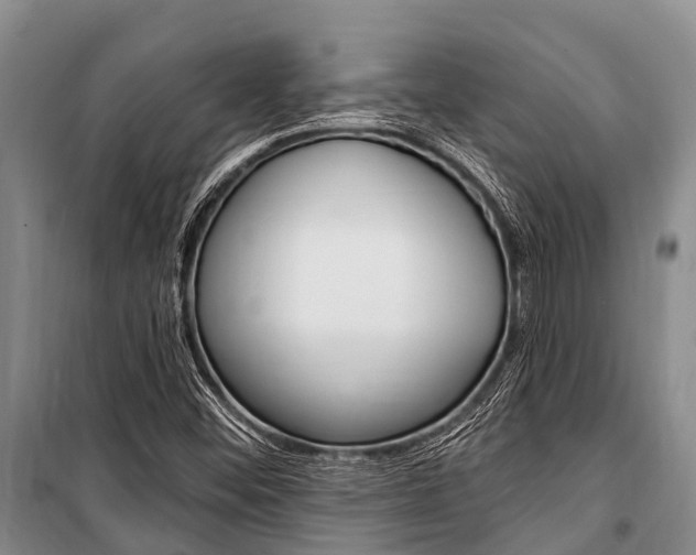 X0000101211452200806270842