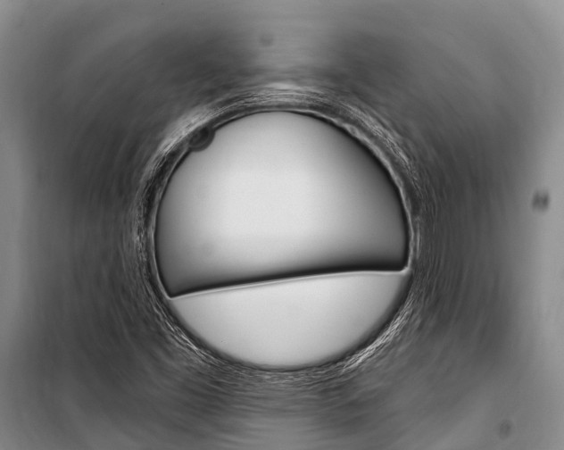 X0000101211453200806270842