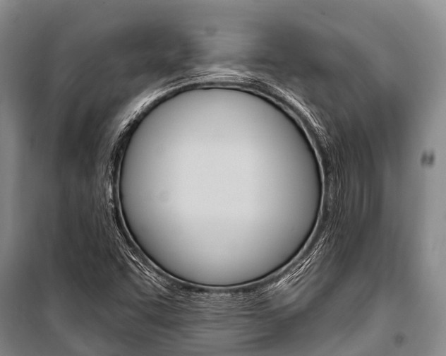 X0000101211455200806270842