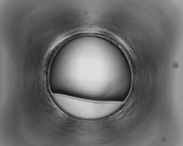 X0000101211456200806270842