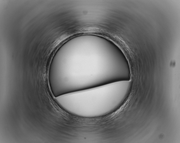 X0000101211457200806270842