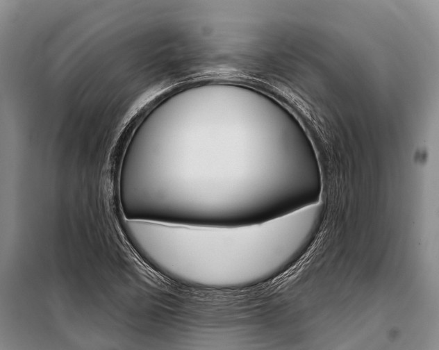 X0000101211458200806270842