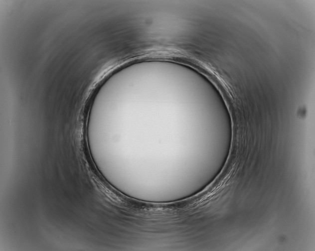 X0000101211459200806270842