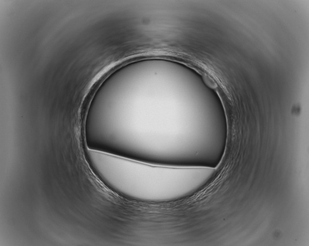 X0000101211460200806270842