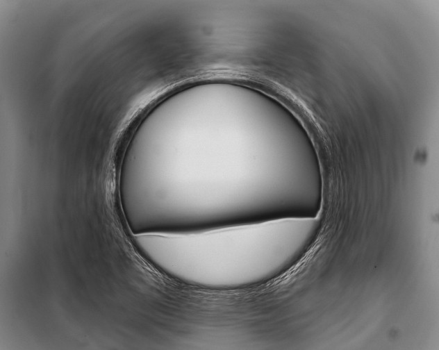 X0000101211461200806270842