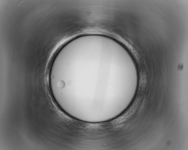 X0000101211462200806270842