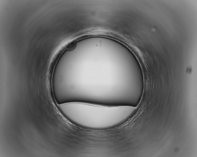 X0000101211464200806270842