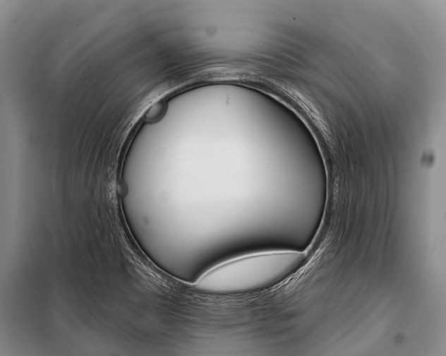 X0000101211465200806270842