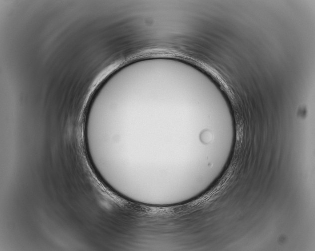 X0000101211466200806270842