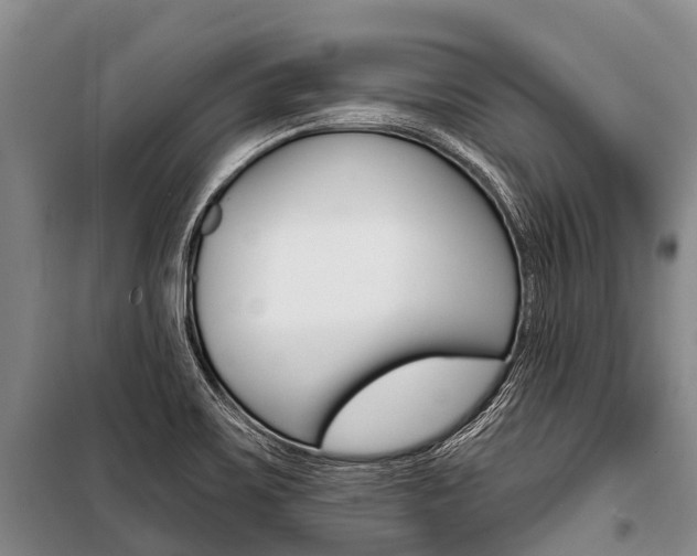 X0000101211467200806270842