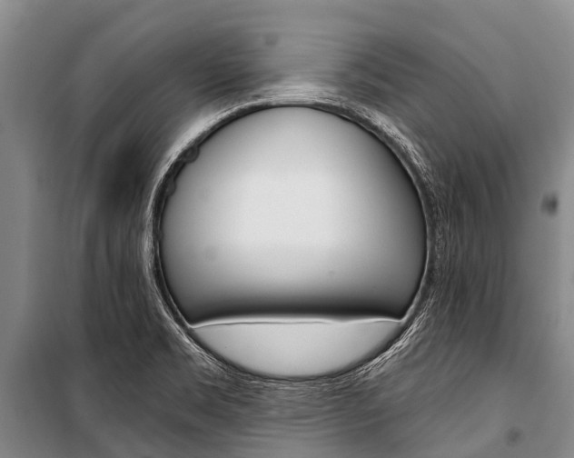 X0000101211469200806270842