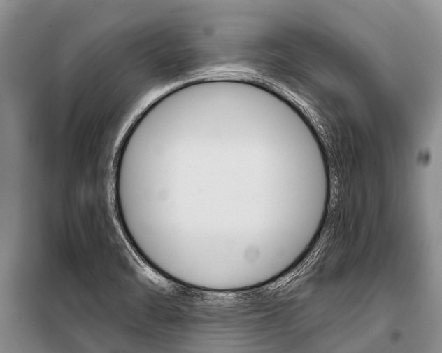 X0000101211470200806270842