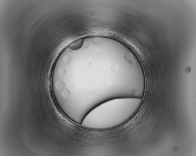 X0000101211471200806270842