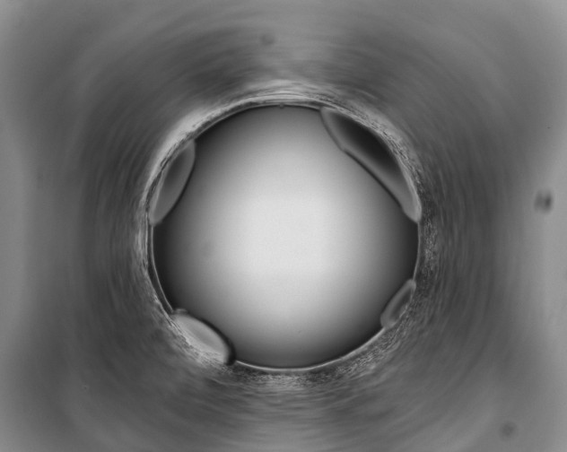 X0000101211472200806270842