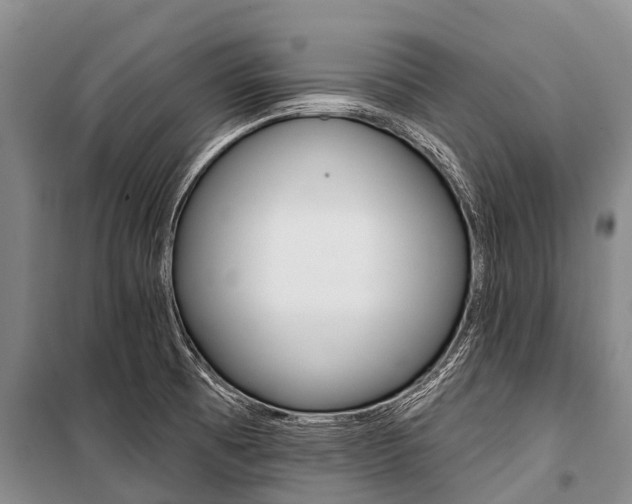X0000101211473200806270842