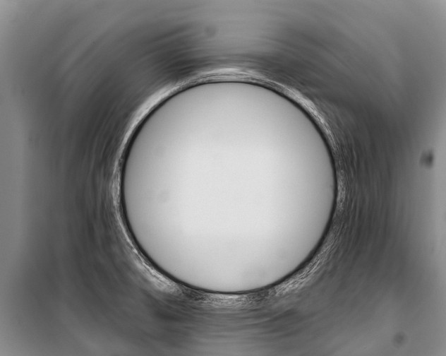 X0000101211474200806270842