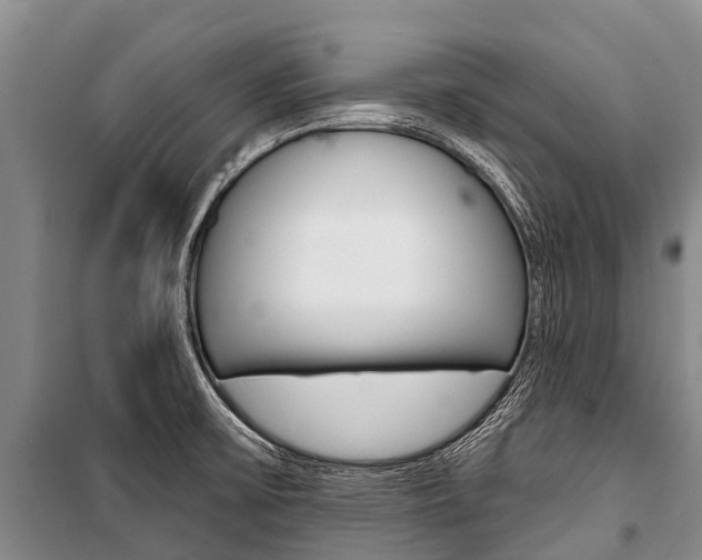 X0000101211475200806270842