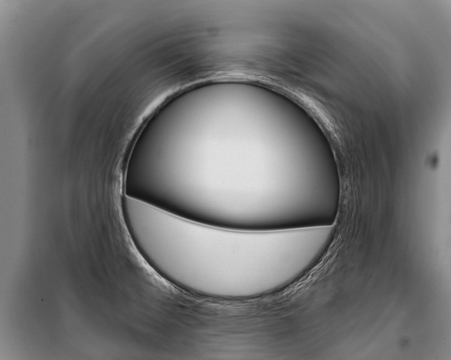 X0000101211476200806270842