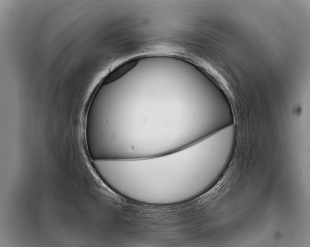 X0000101211477200806270842