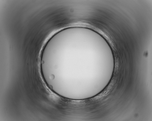 X0000101211478200806270841