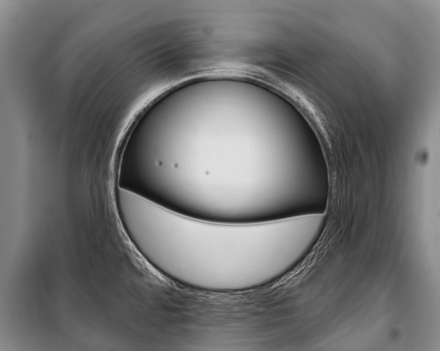 X0000101211480200806270841