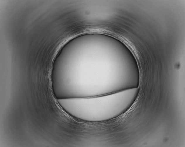 X0000101211481200806270841