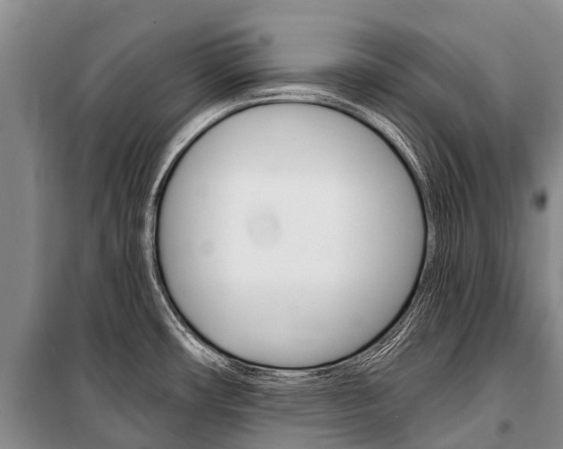 X0000101211482200806270841