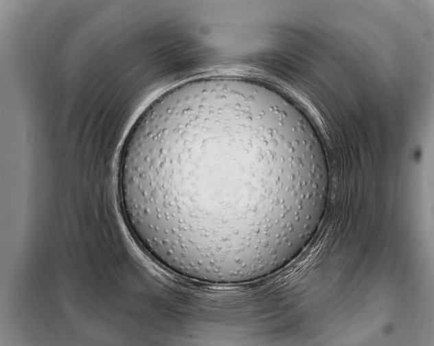 X0000101211483200806270841
