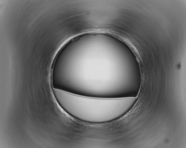 X0000101211484200806270841