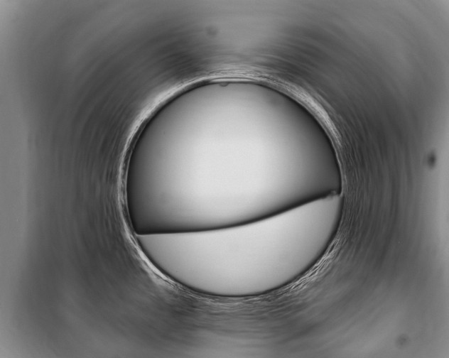 X0000101211485200806270841