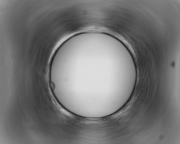X0000101211486200806270841