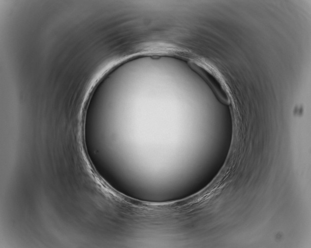 X0000101211488200806270841