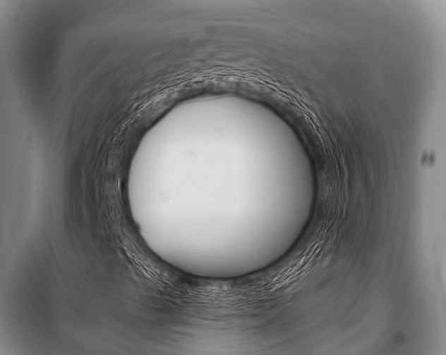 X0000101211489200806270841