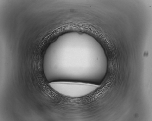X0000101211490200806270841