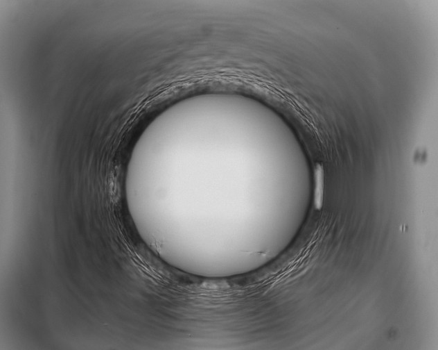 X0000101211491200806270841