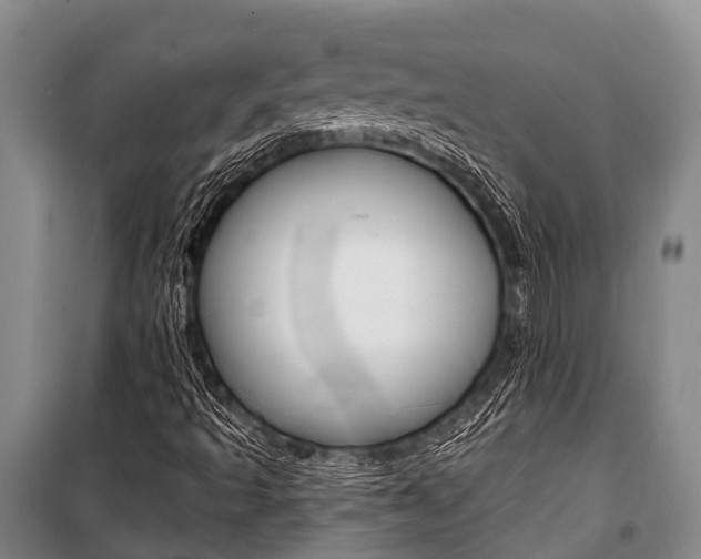 X0000101211493200806270841