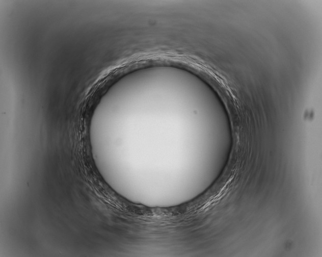 X0000101211494200806270841