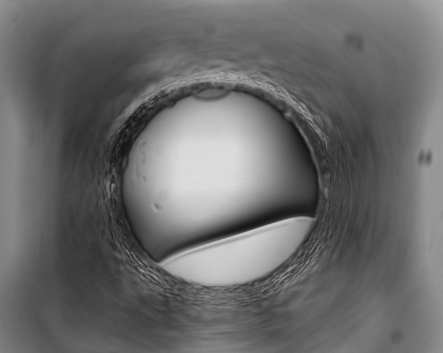 X0000101211495200806270841