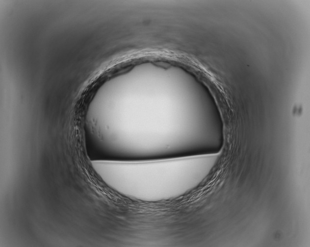 X0000101211496200806270841