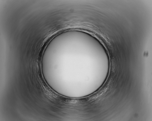 X0000101211497200806270841