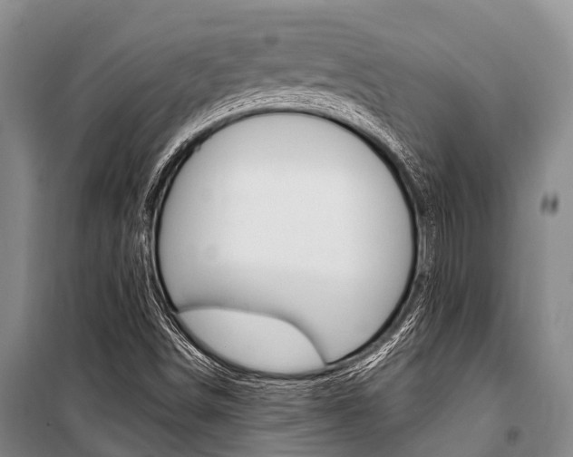 X0000101211498200806270841