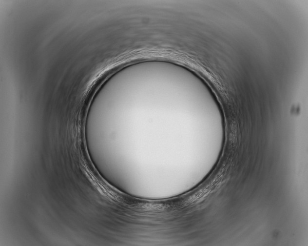X0000101211499200806270841