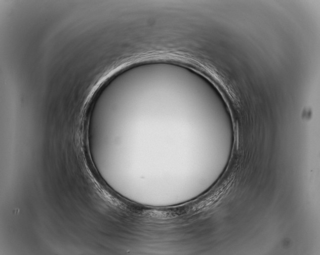 X0000101211500200806270841
