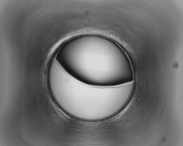 X0000101211502200806270841