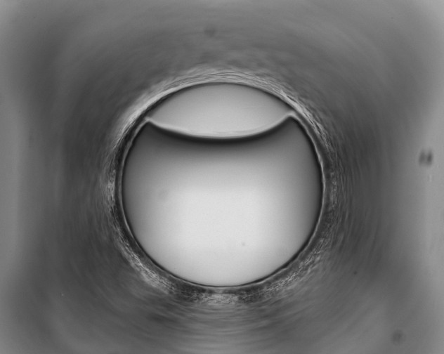 X0000101211503200806270841