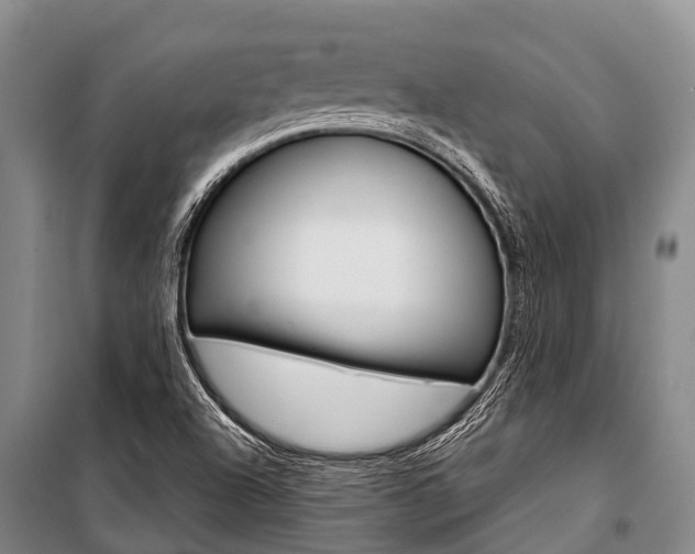 X0000101211504200806270841