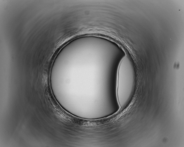 X0000101211505200806270841