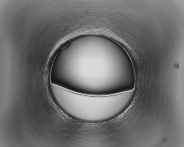 X0000101211506200806270841