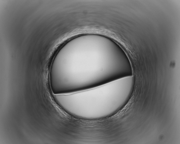X0000101211507200806270841
